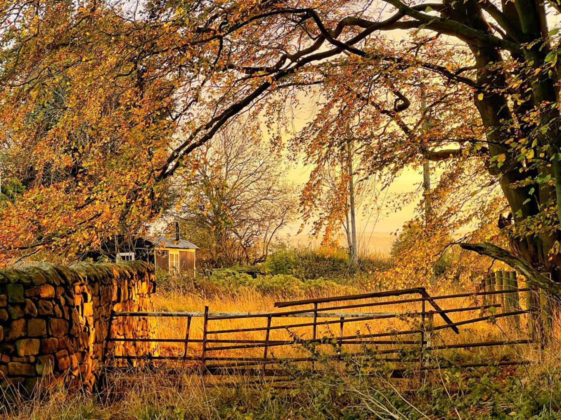 Casa de Férias Shepherd Hut Glamping In Northumberland *